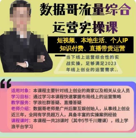 数据哥流量综合运营实操课：短视频、本地生活、个人IP知识付费、直播带货运营-林文副业站