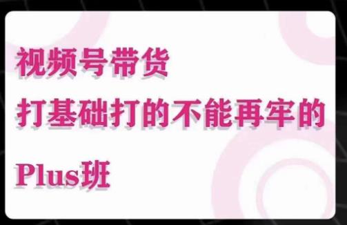 大播汇·视频号带货Puls班，视频号底层逻辑，起号自然流鱼塘等玩法-林文副业站