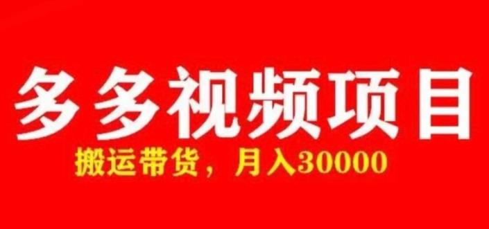 多多带货视频快速50爆款拿带货资格，搬运带货，月入30000【全套脚本+详细玩法】-林文副业站