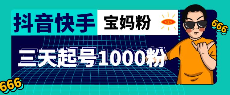 抖音快手三天起号涨粉1000宝妈粉丝的核心方法【详细玩法教程】-林文副业站