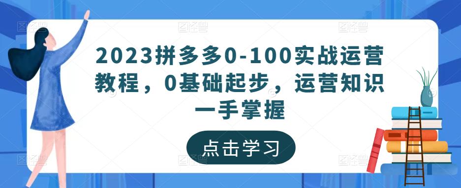 2023拼多多0-100实战运营教程，0基础起步，运营知识一手掌握-林文副业站