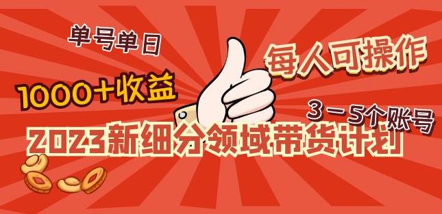 2023新细分领域带货计划：单号单日1000+收益不难，每人可操作3-5个账号-林文副业站