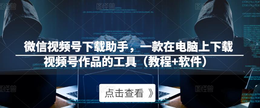 微信视频号下载助手，一款在电脑上下载视频号作品的工具（教程+软件）-林文副业站
