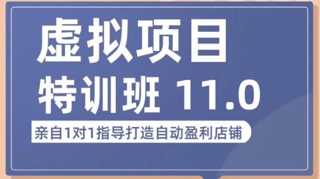 陆明明·虚拟项目特训班（10.0+11.0），0成本获取虚拟素材，0基础打造自动盈利店铺-林文副业站