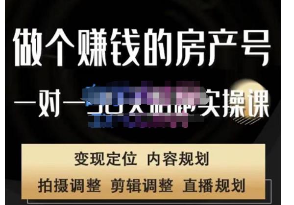 刘广标·同城房产号线上陪跑课，拍摄、剪辑、写文案、直播，做一个具有潜力价值的房产号-林文副业站