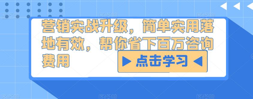 营销实战升级，简单实用落地有效，帮你省下百万咨询费用-林文副业站