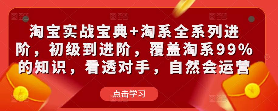 淘宝实战宝典+淘系全系列进阶，初级到进阶，覆盖淘系99%的知识，看透对手，自然会运营-林文副业站