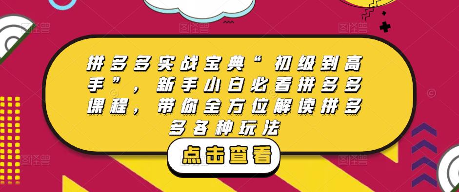 拼多多实战宝典“初级到高手”，新手小白必看拼多多课程，带你全方位解读拼多多各种玩法-林文副业站