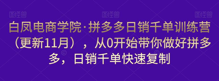 白凤电商学院·拼多多日销千单训练营，从0开始带你做好拼多多，日销千单快速复制（更新知2023年3月）-林文副业站