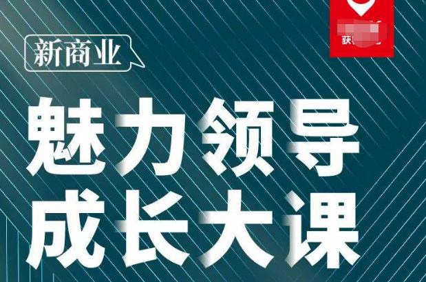张琦·新商业魅力领导成长大课2023新版，高效管理必修课（30节）-林文副业站