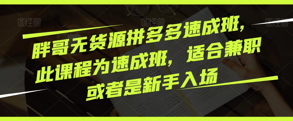 胖哥无货源拼多多速成班，此课程为速成班，适合兼职或者是新手入场-林文副业站