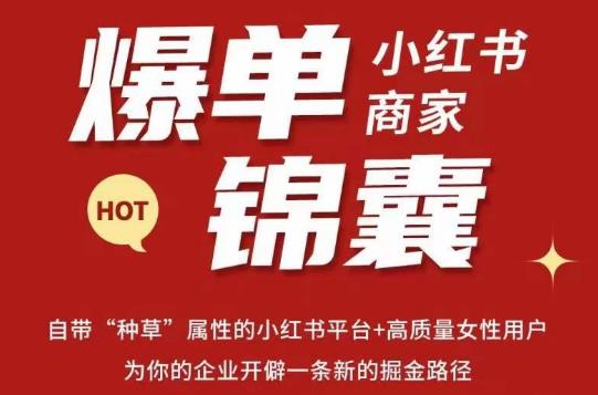 无畏·小红书商家爆单锦囊，掌握小红书各大规则，快速精准抢占行业和市场-林文副业站