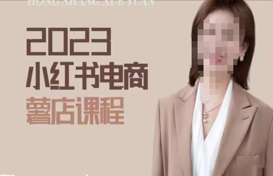2023小红书电商课，新手小白从0~1玩转小红书薯店电商-林文副业站