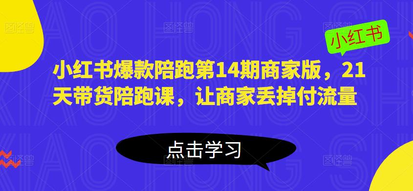 小红书爆款陪跑第14期商家版，21天带货陪跑课，让商家丢掉付流量-林文副业站