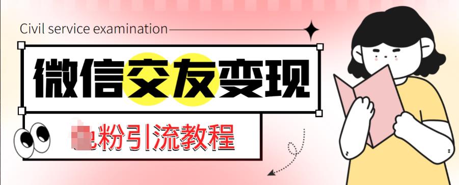 微信交友变现项目，吸引全网LSP男粉精准变现，小白也能轻松上手，日入500+-林文副业站