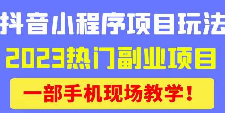 抖音小程序9.0新技巧，2023热门副业项目，动动手指轻松变现-林文副业站