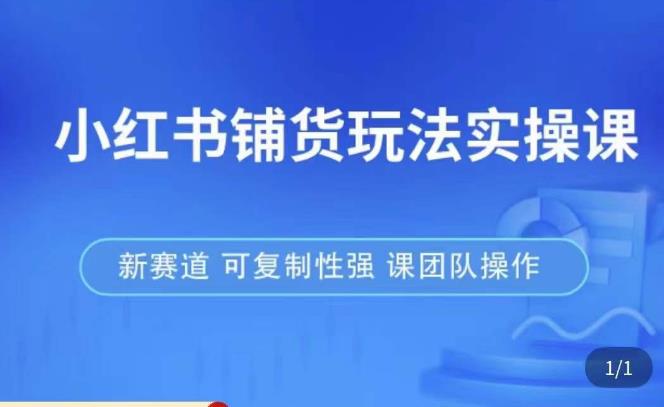 小红书铺货玩法实操课，流量大，竞争小，非常好做，新赛道，可复制性强，可团队操作-林文副业站