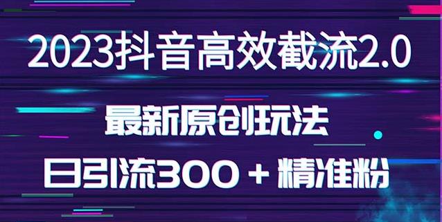 日引300＋创业粉，独家抖音高效截流2.0玩法（价值1280）-林文副业站