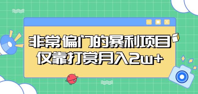 非常偏门的暴利项目，仅靠打赏月入2w+-林文副业站
