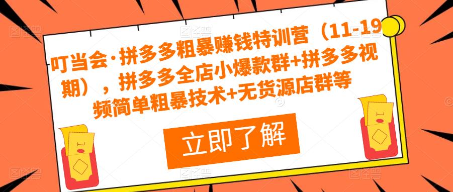 叮当会·拼多多粗暴赚钱特训营（11-19期），拼多多全店小爆款群+拼多多视频简单粗暴技术+无货源店群等-林文副业站
