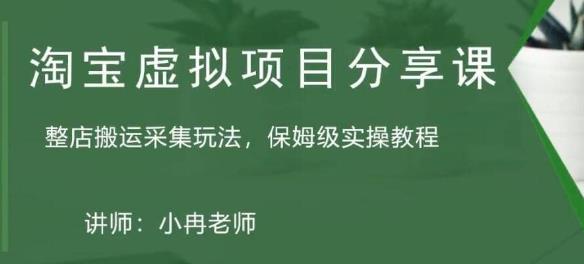淘宝虚拟整店搬运采集玩法分享课：整店搬运采集玩法，保姆级实操教程-林文副业站