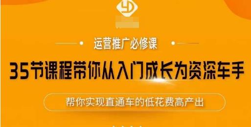 35节课程带你从入门成长为资深车手，让系统学习直通车成为可能，帮你实现直通车的低花费高产出-林文副业站