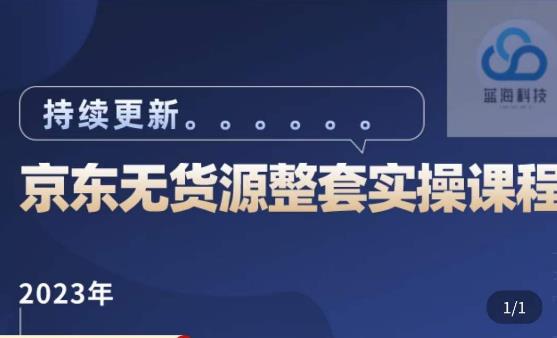 蓝七·2023京东店群整套实操视频教程，京东无货源整套操作流程大总结，减少信息差，有效做店发展-林文副业站