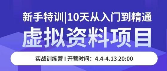虚拟资料项目新手特训，10天从入门到精通，保姆级实操教学-林文副业站