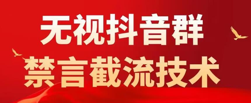 外面卖1500抖音粉丝群无视禁言截流技术，抖音黑科技，直接引流，0封号-林文副业站