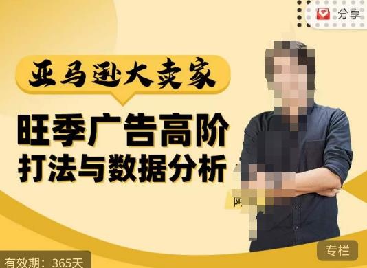 阿甘·亚马逊大卖家广告高阶打法与数据分析，走出传统广告误区；揭秘大卖惯用打法；数据驱动广告决策-林文副业站