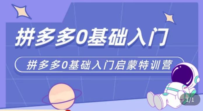 六一电商·拼多多运营0-1实操特训营，拼多多从基础到进阶的可实操玩法-林文副业站