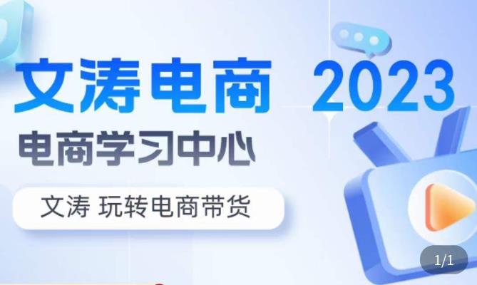 文涛电商·7天零基础自然流起号，​快速掌握店铺运营的核心玩法，突破自然展现量，玩转直播带货-林文副业站