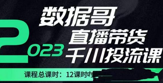 数据哥2023直播电商巨量千川付费投流实操课，快速掌握直播带货运营投放策略-林文副业站