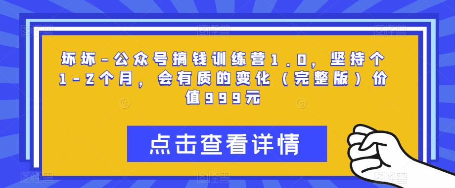 坏坏-公众号搞钱训练营1.0，坚持个1-2个月，会有质的变化（完整版）价值999元-林文副业站