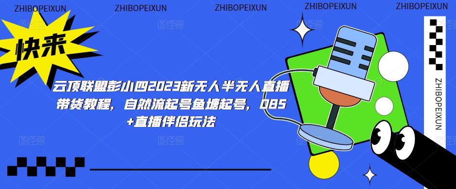云顶联盟彭小四2023新无人半无人直播带货教程，自然流起号鱼塘起号，OBS+直播伴侣玩法-林文副业站