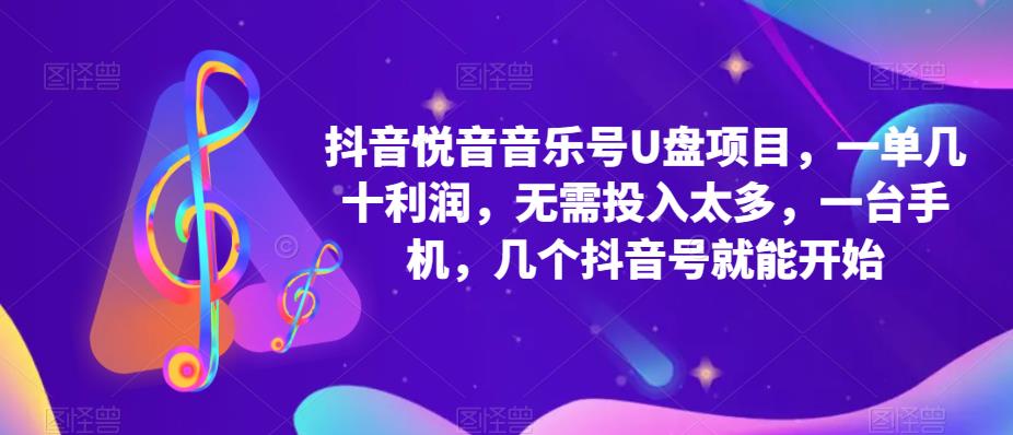 抖音音乐号U盘项目，一单几十利润，无需投入太多，一台手机，几个抖音号就能开始-林文副业站