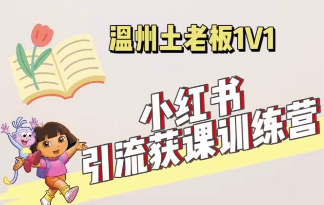 小红书1对1引流获客训练营：账号、内容、引流、成交（价值3999元）-林文副业站