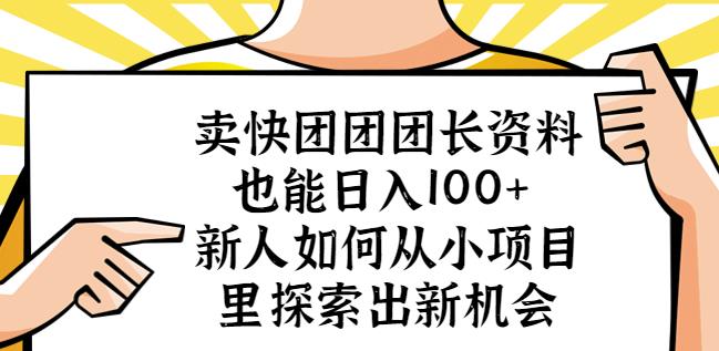 卖快团团团长资料也能日入100+新人如何从小项目里探索出新机会-林文副业站
