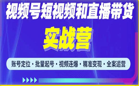 2023最新微信视频号引流和变现全套运营实战课程，小白也能玩转视频号短视频和直播运营-林文副业站