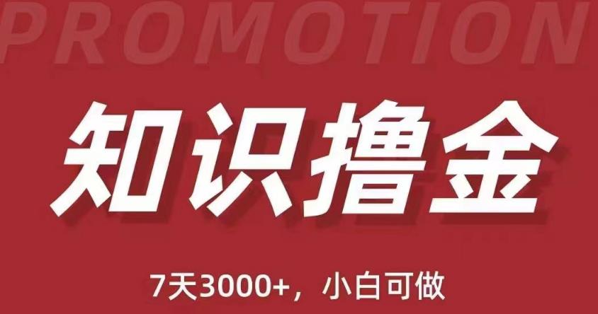 抖音知识撸金项目：简单粗暴日入1000+执行力强当天见收益(教程+资料)-林文副业站