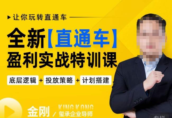 玺承·全新直通车盈利实战特训课，从​底层逻辑详细拆解，从底层，策略到搭建，让你玩转直通车-林文副业站