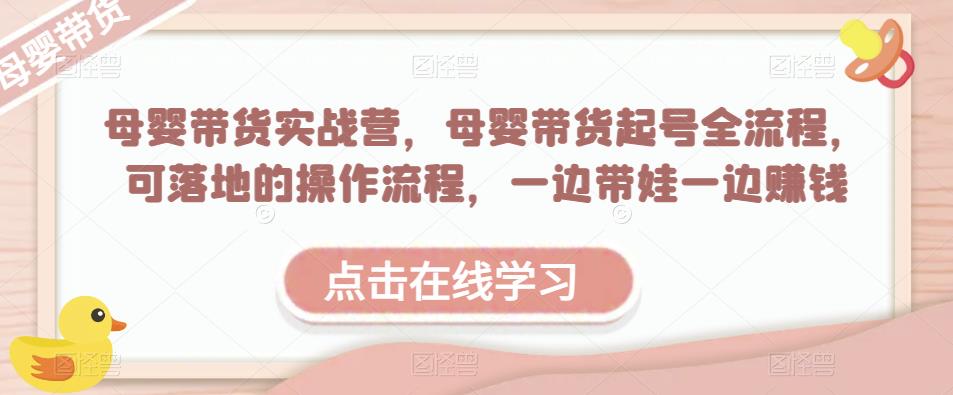 母婴带货实战营，母婴带货起号全流程，可落地的操作流程，一边带娃一边赚钱（附素材）-林文副业站