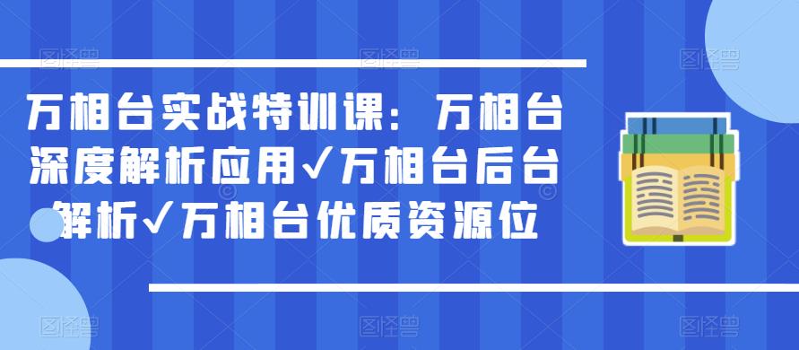 万相台实战特训课：万相台深度解析应用✔万相台后台解析✔万相台优质资源位-林文副业站