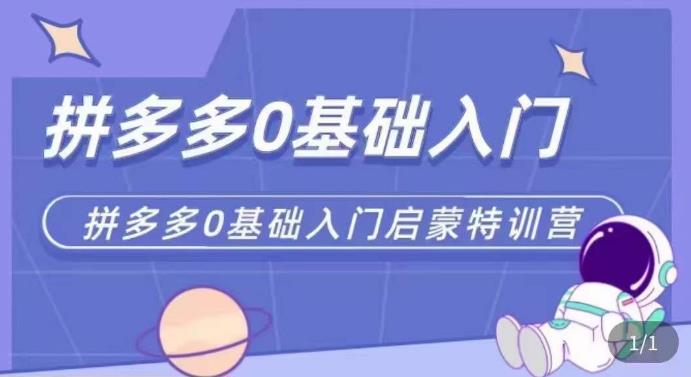 拼多多运营0-1实操特训营，拼多多0基础入门，从基础到进阶的可实操玩法-林文副业站