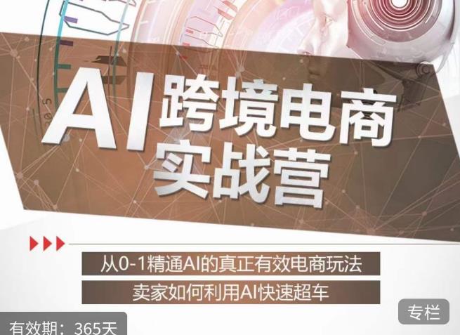 白龙老师·AI跨境电商实战营：从0-1精通Al的真正有效电商玩法，卖家如何利用Al快速超车-林文副业站