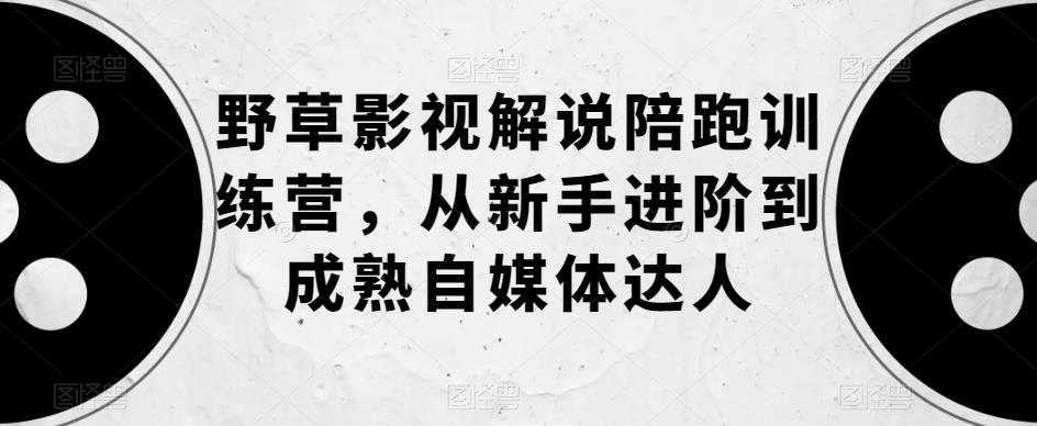 野草影视解说陪跑训练营，从新手进阶到成熟自媒体达人-林文副业站