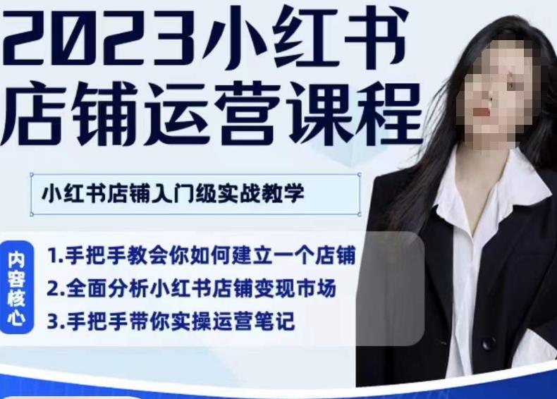 陶金金·2023小红书店铺运营课，小红书店铺入门实战教学-林文副业站