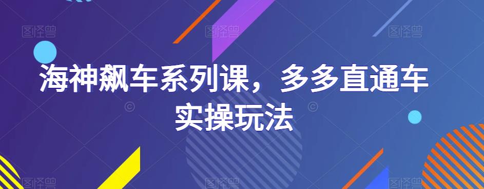 海神飙车系列课，多多直通车实操玩法-林文副业站