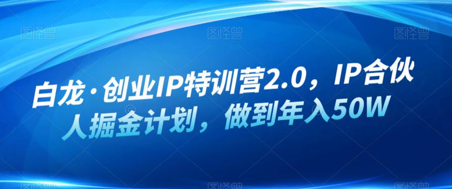 白龙·创业IP特训营2.0，IP合伙人掘金计划，做到年入50W-林文副业站