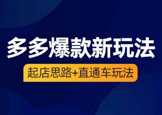 海神·多多爆款新玩法，​起店思路+直通车玩法（3节精华课）-林文副业站